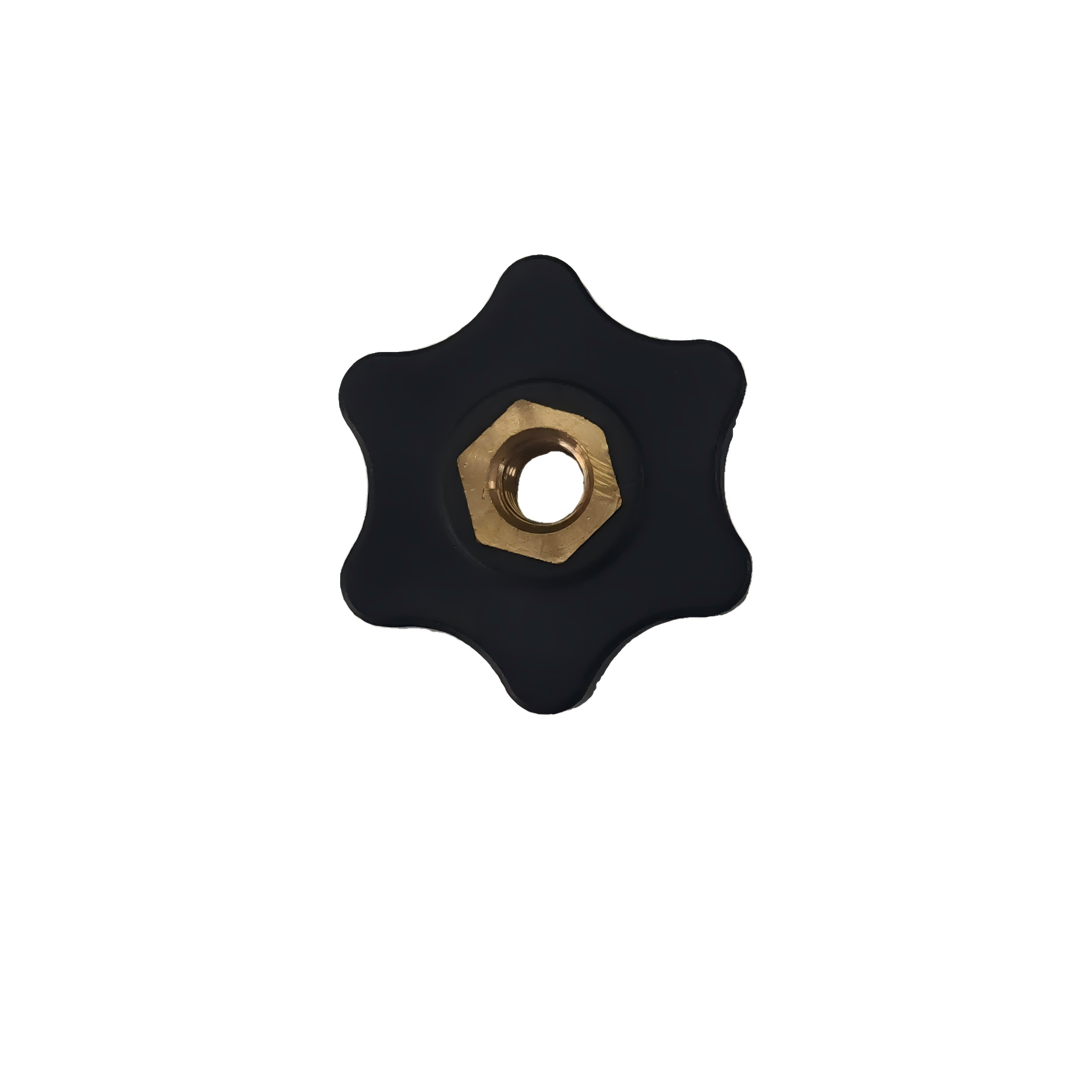 Adjustable Maststep